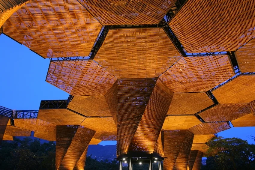 Timber canopy structure lit at dusk
